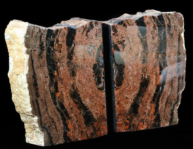Tall Arizona Petrified Wood Bookends #55501